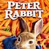 Peter Hase