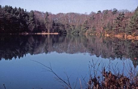 Blue Pool, Dorset