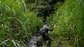 In Indonesia, women ranger teams go on patrol to slow deforestation - The Morning Sun