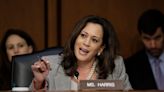 US Presidential polls 2024: Kamala Harris named Democratic nominee, set to challenge Donald Trump | Today News