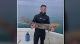 Millions of years old? Diver discovers mastodon tusk off Florida coast