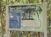 Primeval Forest National Park