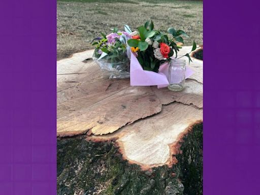 Police identify woman hit, killed by large tree branch at Garfield Park