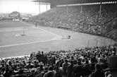 Maple Leaf Stadium