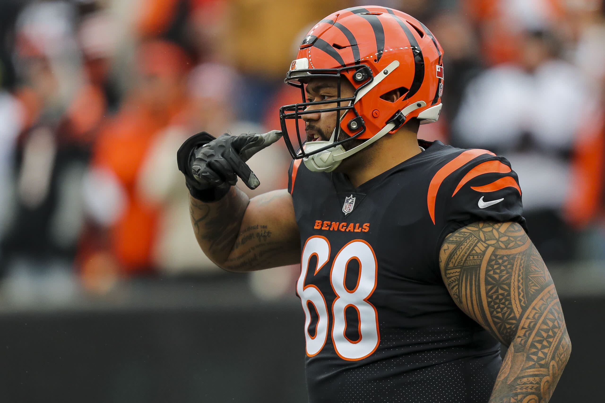 Former Bengals DL signs with Ravens in free agency