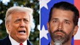 Twitter Users Roast Donald Trump Jr. After His Comments About Donald Trump’s Mental Competency