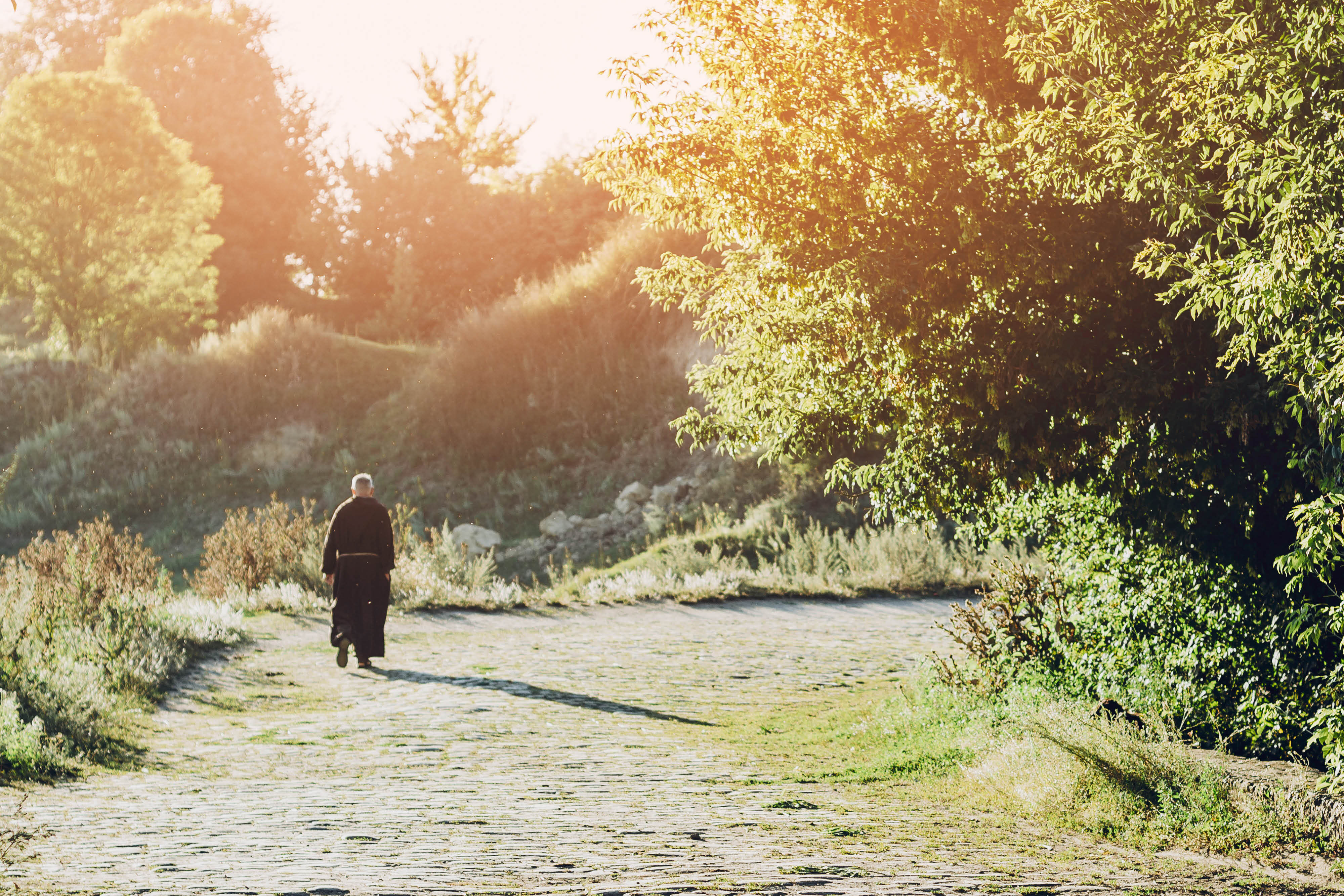 In a Quiet First, a Hermit Has Come Out As Trans