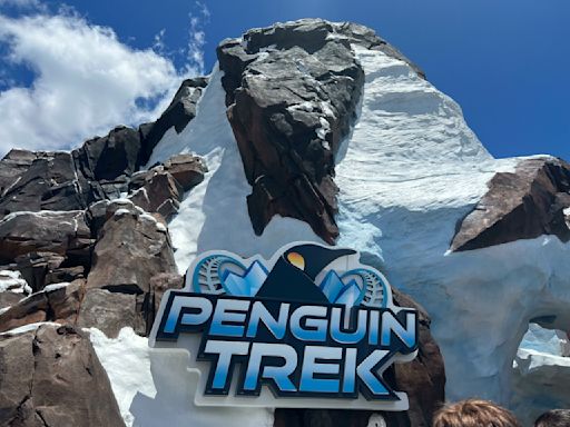 SeaWorld Orlando's Penguin Trek opens soon for family thrills