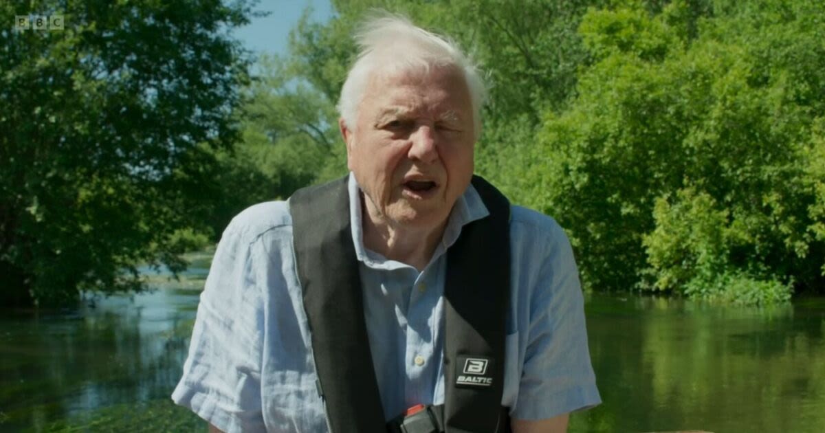 Gardeners told don't mow lawn in June after David Attenborough's worrying update