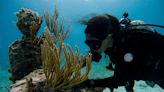 La bióloga que graba las sinfonías de los corales del Caribe mexicano para alertar de su extinción