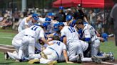 Hauppauge wins Suffolk Class AA baseball championship