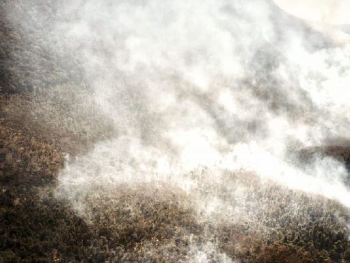 Carnita asada provocó incendio en la Sierra de Santa Rosa, Guanajuato