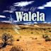 Best of Walela