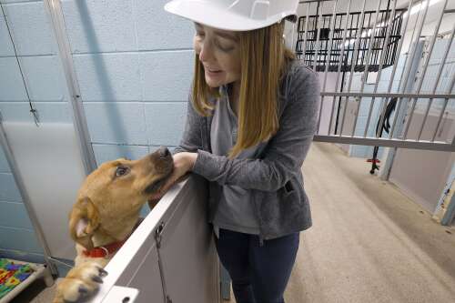 Cat condos and better digs for dogs: DuPage County animal shelter undergoing a $14 million expansion