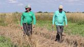 Multi-generation farm supplies watermelon to Florida