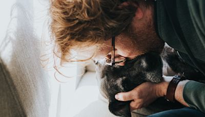 Cumplió un último deseo a su perrita antes de morir: le dio de comer algo prohibido para los canes