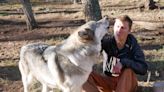 Embracing wolves: Dr. John Hughes and the Sacred Wolf Foundation’s Mission