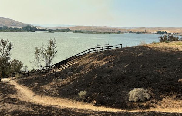 Campfires temporarily banned at Oregon State Parks due to wildfire risk | See list