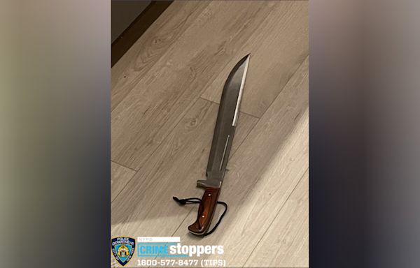 NYPD officer shoots machete-wielding man in the Bronx