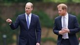 William's 'last-minute text to Harry' that sparked ceasefire in the Firm