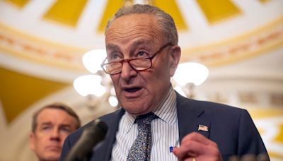 Schumer está a favor de Biden, mientras demócratas del Senado dudan - El Diario NY