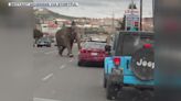 Elephant escapes circus, stops traffic: Video