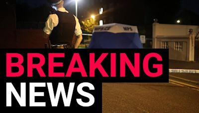 Boy, 15, stabbed to death outside school gates as knifeman on the run