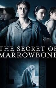 The Secret of Marrowbone