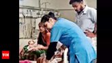 Chandipura Virus Outbreak: 11-Year-Old Girl Succumbs in Noblenagar, Ahmedabad | Ahmedabad News - Times of India