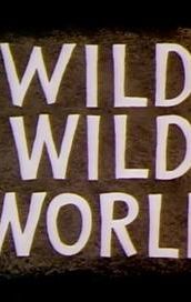 Wild Wild World