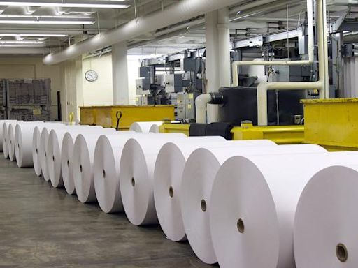 Suzano (SUZ) Drops Acquisition Plans for International Paper