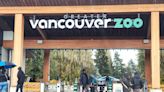 Aldergrove zoo has all its animals