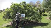 When the lilacs come out, Rochester's plein air artists emerge in full bloom