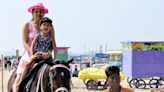 Panel to frame guidelines for use of horses for joy rides, T.N. govt. informs Madras High Court