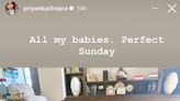Priyanka Chopra Jonas Has 'Perfect Sunday' with Baby Daughter Malti and Family Dogs: Photos