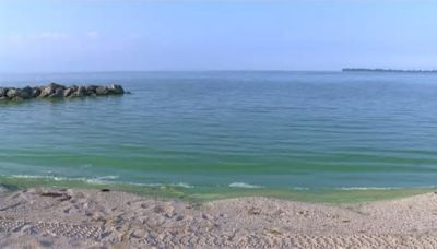 NOAA issues early season Lake Erie harmful algal bloom forecast