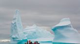 Martha Stewart Harvests Small Iceberg for Swank Cocktails