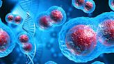 Cancer can be caused by reversible molecular changes – as new study shows
