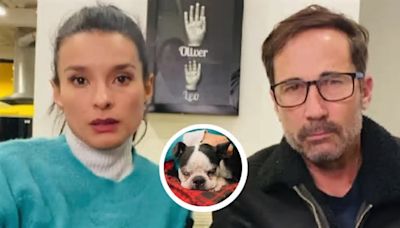 Paola Rey y Juan Carlos Vargas responden a críticas por supuesto abandono de un perro