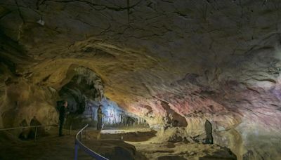 Patrimonio autoriza una nueva campaña de investigación en la cueva de Tito Bustillo