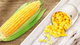 Canned Corn Vs Fresh Corn: Everything You Need To Know