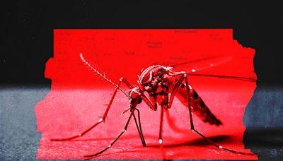 DF registra 290 mortes por dengue e tem outras 64 em investigação