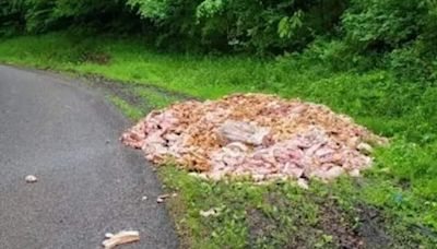 Video: Massive Mound of Meat Mysteriously Dumped on Side of Ohio Road | NewsRadio WHAM 1180 | Coast to Coast AM with George Noory