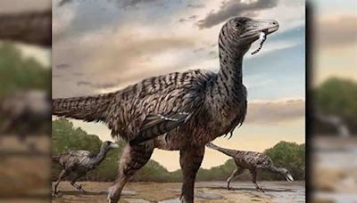 Scoperte impronte di un nuovo raptor gigante che farebbe impallidire le creature di Jurassic Park