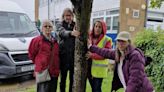 Protesters occupy school to save trees from chop
