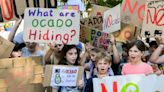 Ocado loses bid to open depot next to north London school after appealing to Planning Inspectorate