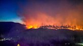 Canada at risk of another devastating wildfire season, federal government warns