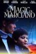 The Magic of Marciano