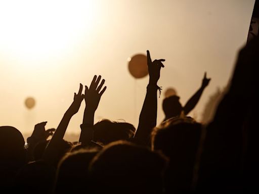 Farm rave prompts fears of noise, traffic and distress to animals