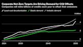 Inside the Controversy That's Divided the Carbon Offsets Market